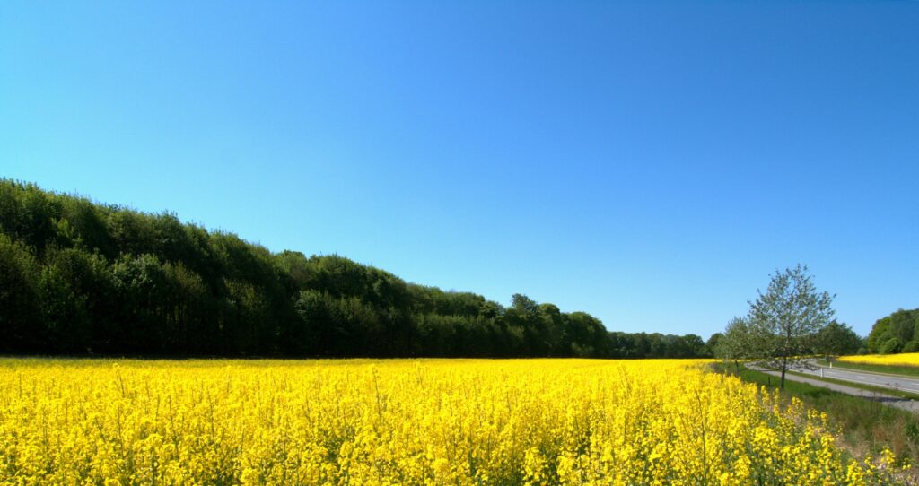 3月〜4月